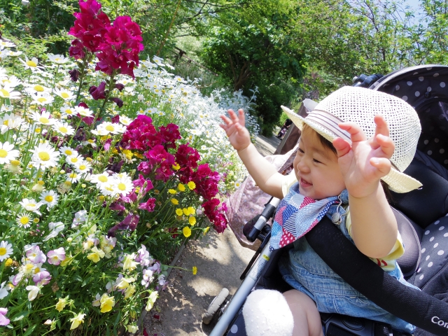 赤ちゃんの夏の服装 室内 寝るとき 外出時に分けてご紹介 キニナル知恵袋