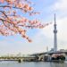 東京の桜の名所ランキング！デートにおすすめの花見スポット5選☆